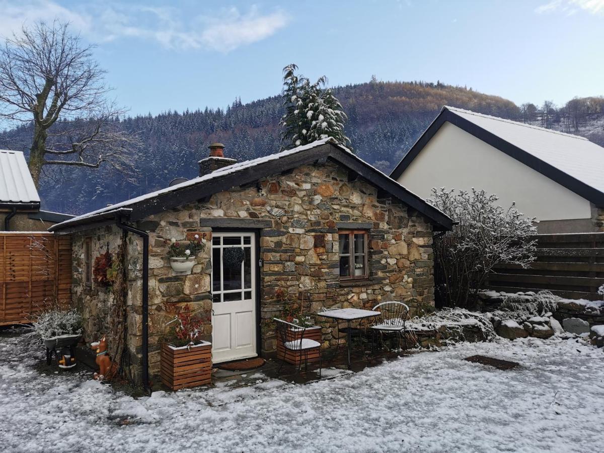 Dolweunydd Bed And Breakfast Betws-y-Coed Zewnętrze zdjęcie